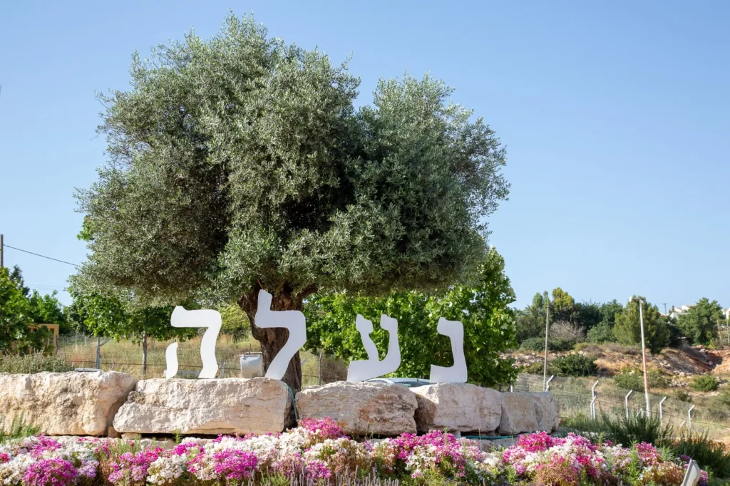 היישוב נעלה