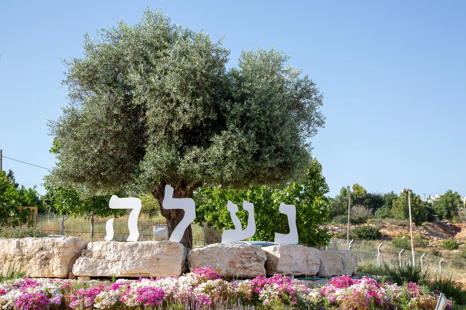 עשרות בתים בניל"י ונעלה הוכרו מחדש כאדמות מדינה