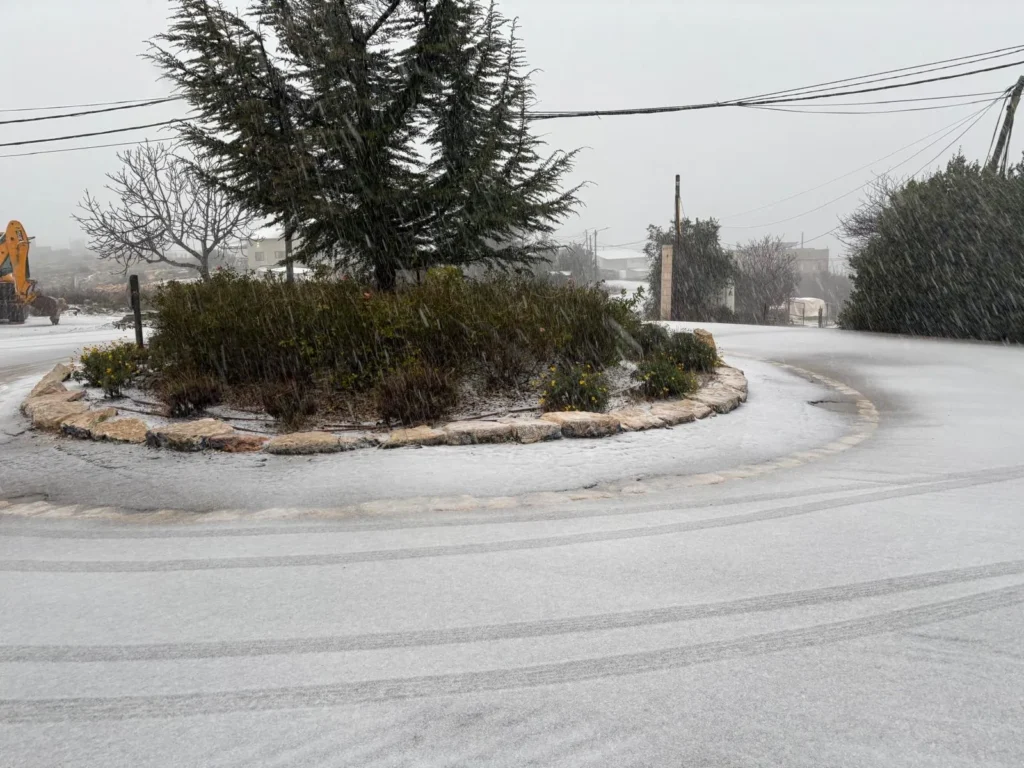 היישוב אלעזר בגוש עציון הבוקר