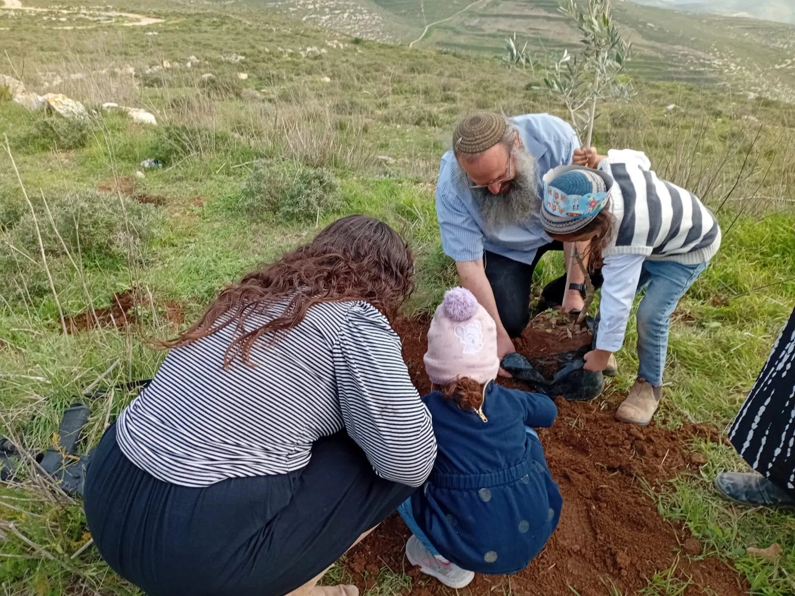 נטיעת העצים בחומש