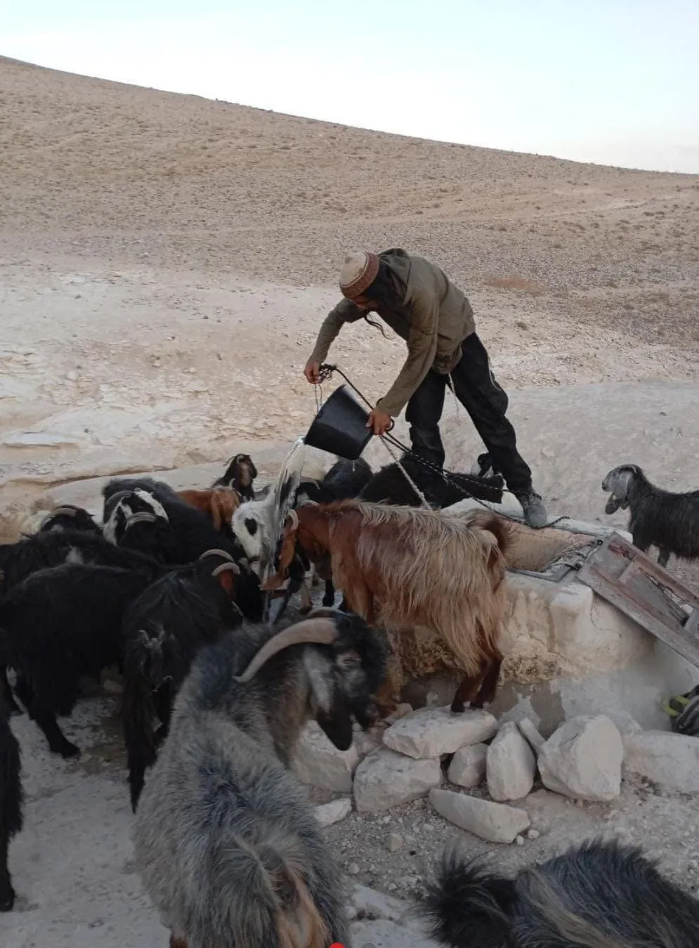 רועה צאן בגבעות