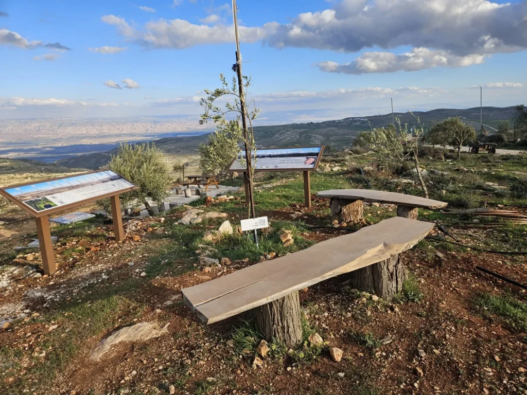 המצפה בקידה