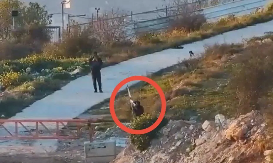 הפלסטיני מוריד את דגל ישראל