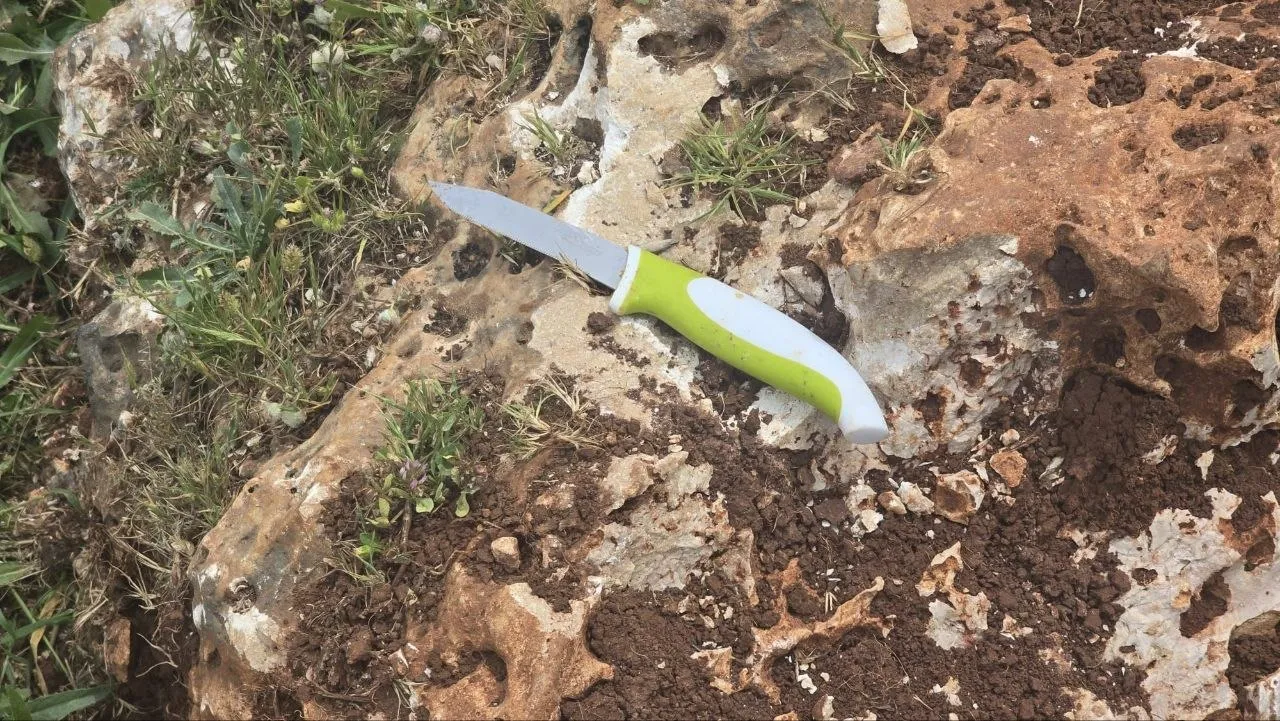 הסכין של המחבל