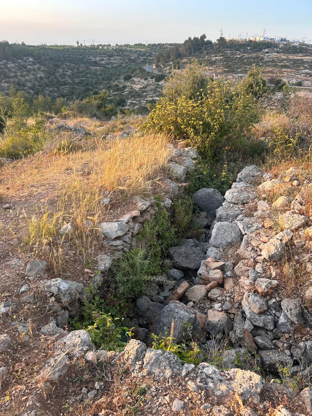 נחשפו ביצורי הלגיון הירדני שאיימו על גוש דן ונתב"ג