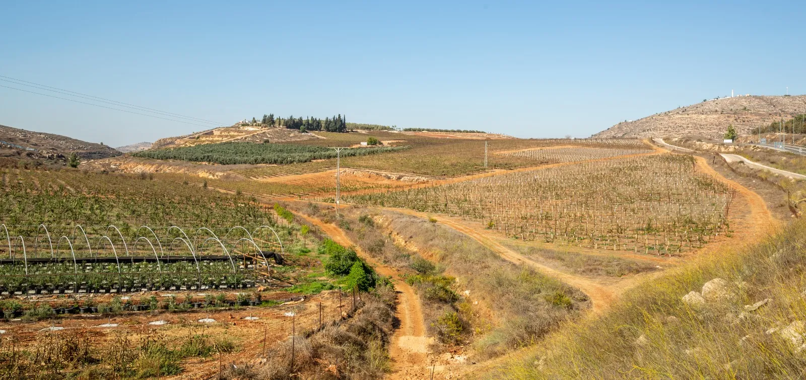 הישוב כרמי עוז בבנימין