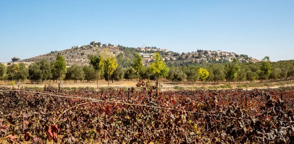 היסטוריה בבנימין: גבעת הראל משנה את שמה
