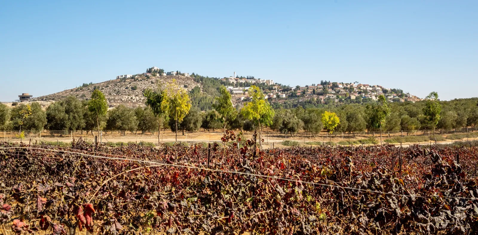 היסטוריה בבנימין: גבעת הראל משנה את שמה