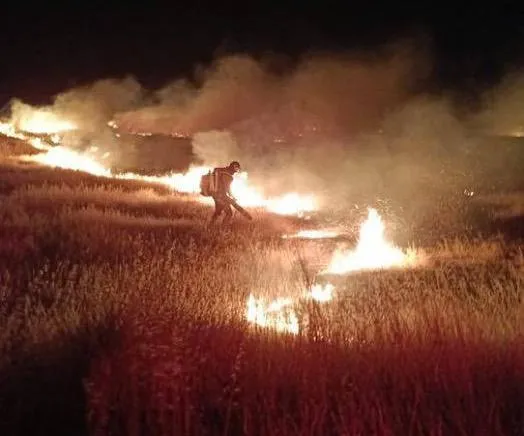 חשד להצתה - שריפה פרצה בשטחי המרעה של חווה בדרום הר חברון