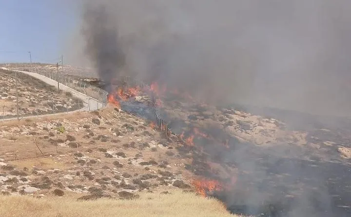 שריפה משתוללת סמוך לקו הבתים של היישוב נווה ארז בבנימין