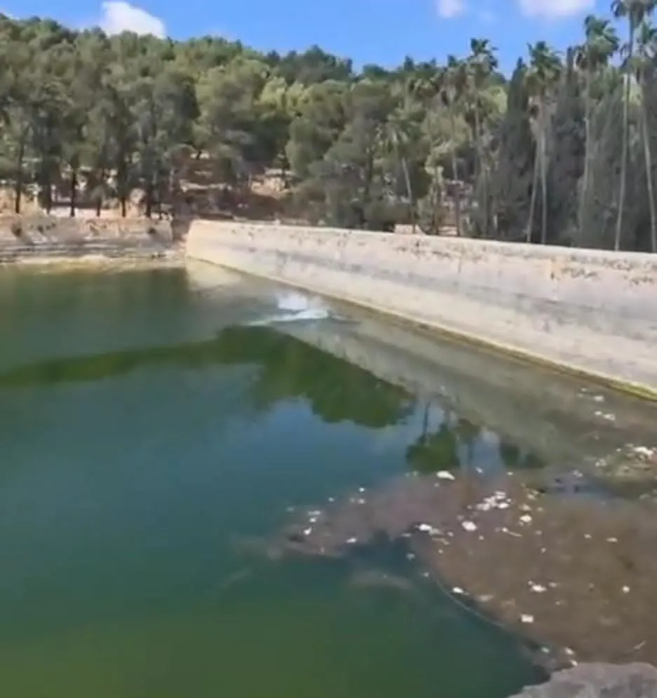 הפלסטינים מנסים למחוק את ההיסטוריה: מסגד יוקם בבריכות שלמה
