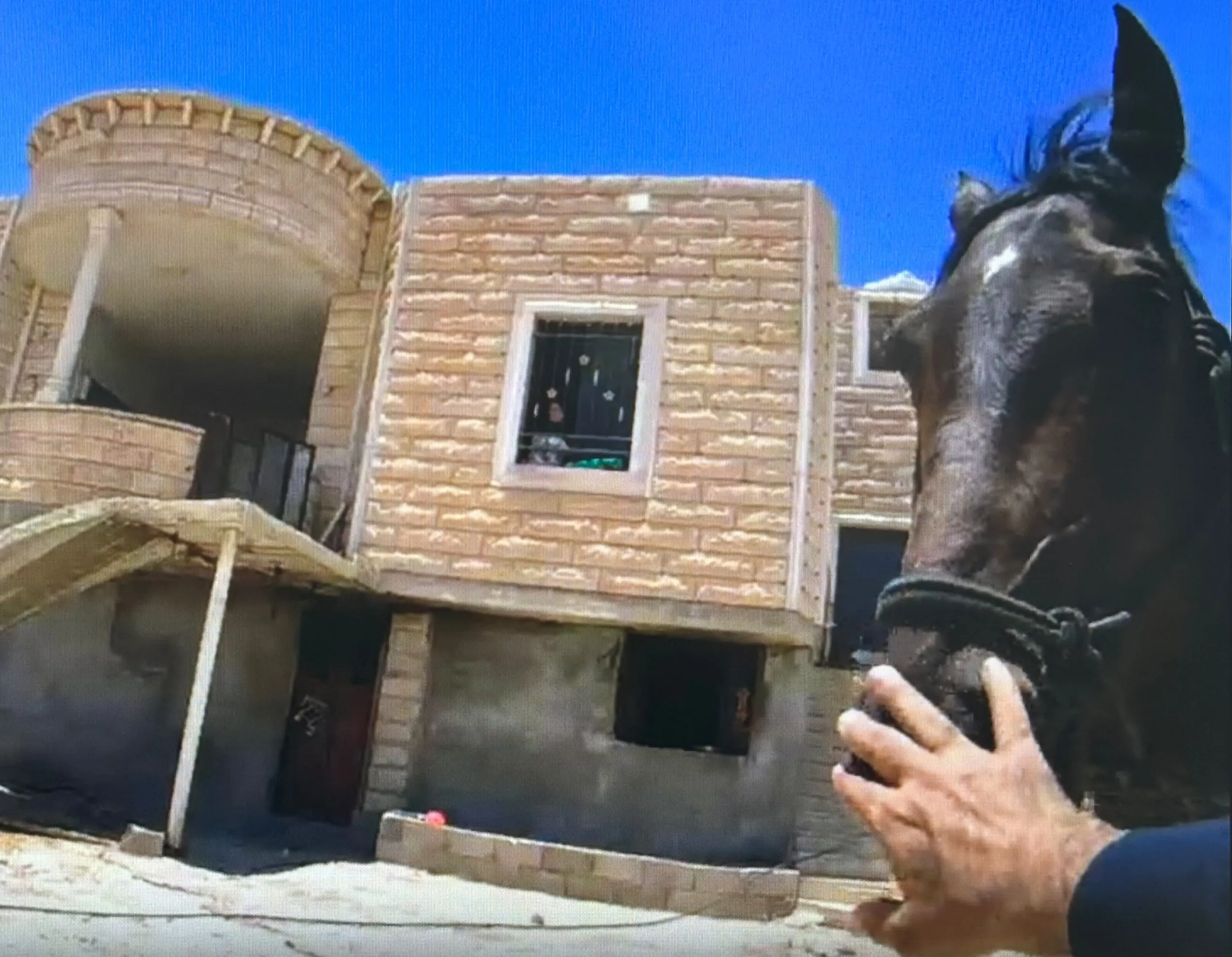 הסוסה שהקפיצה את שוטרי תחנת חברון