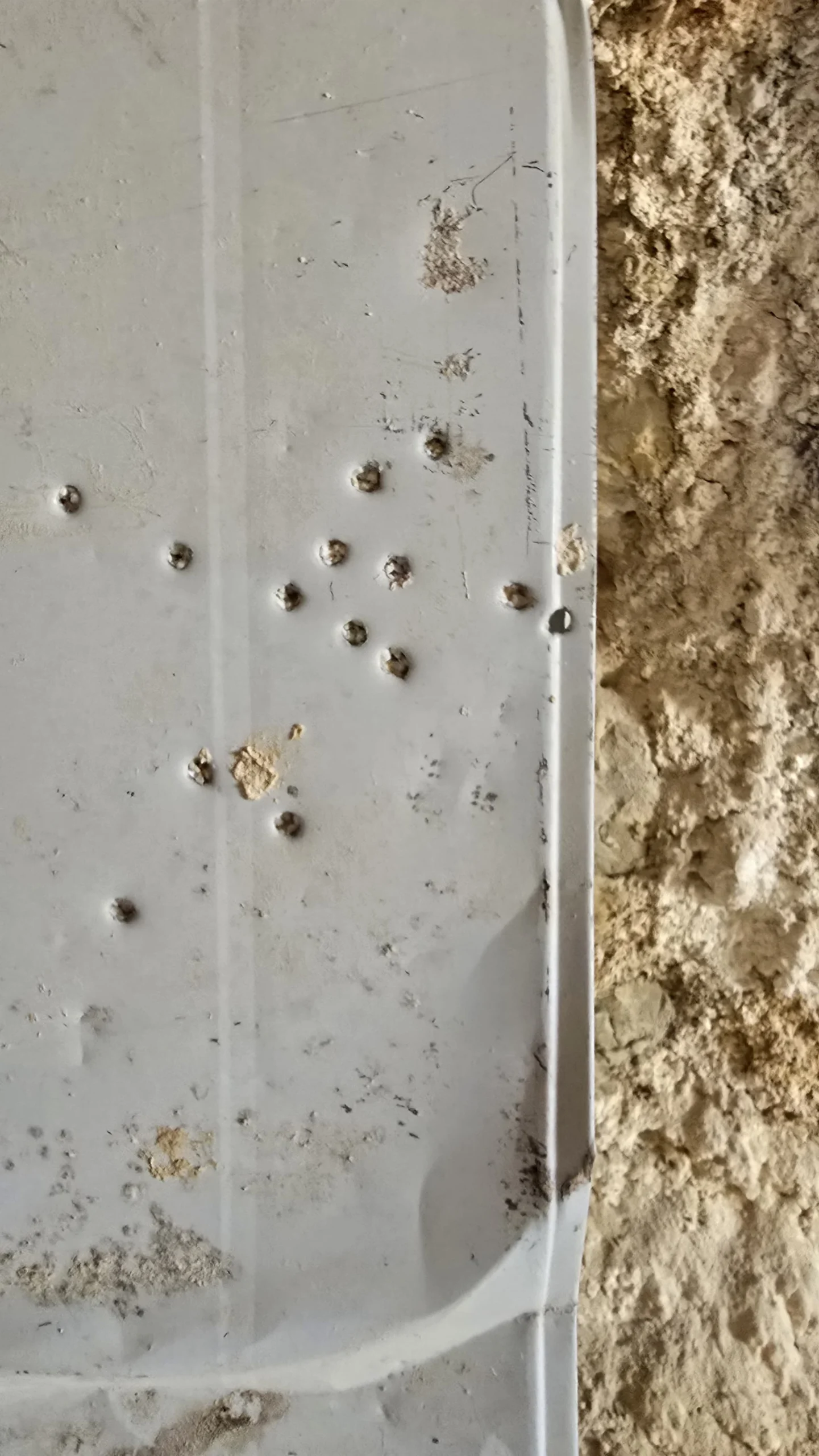 קליעים שנמצאו במטווח של המחבלים