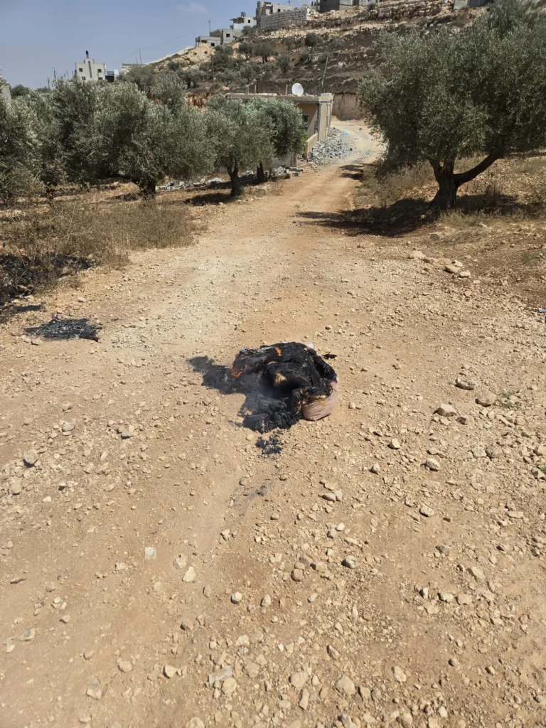 פרובוקציה בקוסרה: פורעים ערבים תקפו את גבעת תל תלפיות