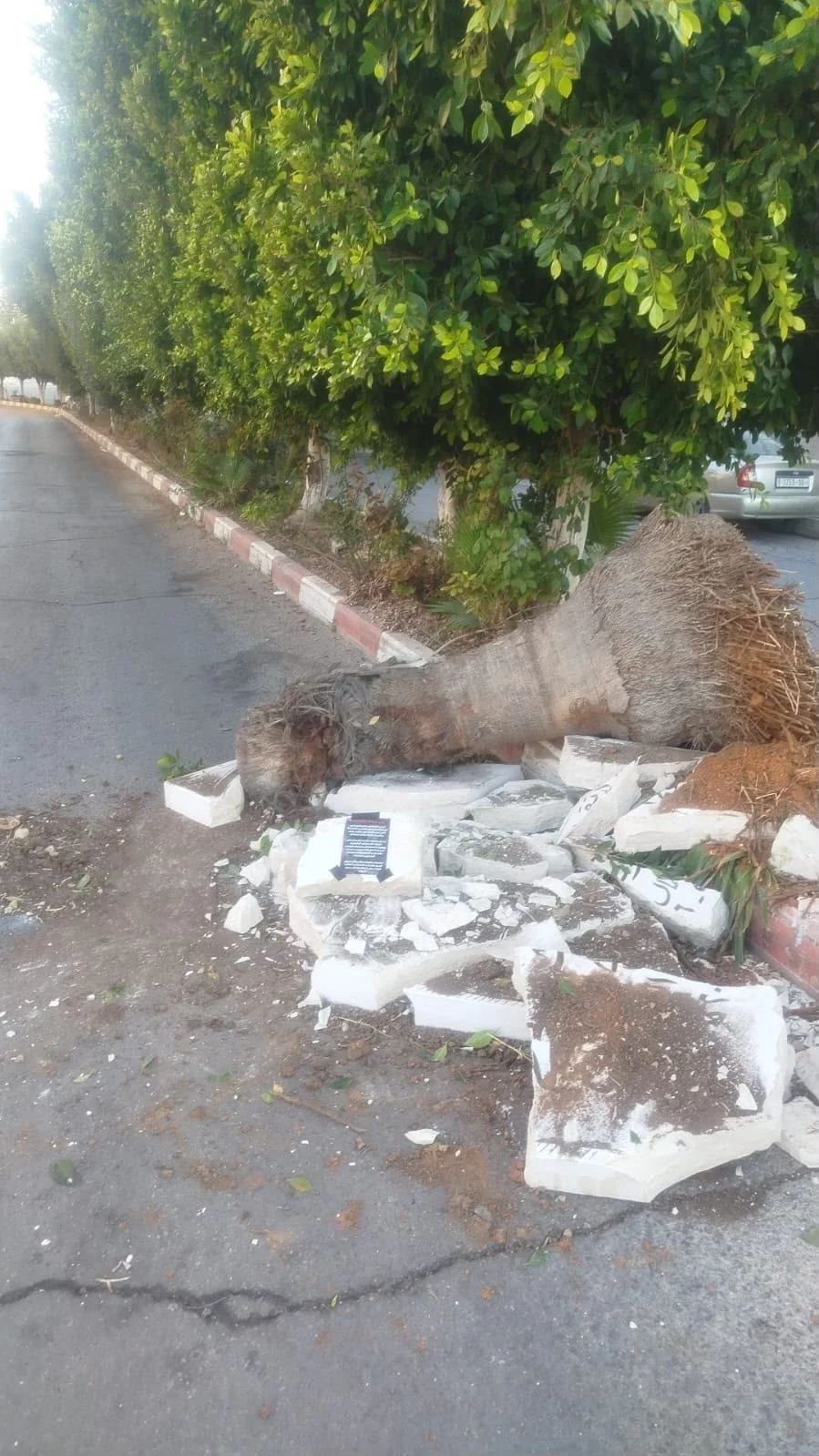 אנדרטה לזכר הרוצח יאסר אל-חמדוני שהורשע במעורבות ברצח האזרח הישראלי אבנר מימון ז